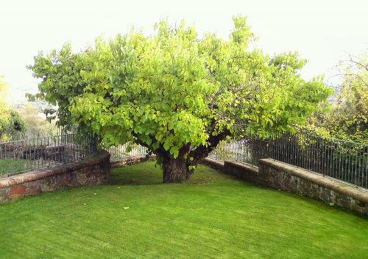 El Patio De La Morera El Rasillo 外观 照片